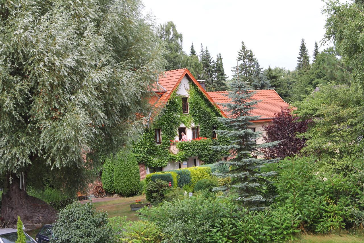 Hotel-Pension Haus Holtdirk 립슈타트 객실 사진